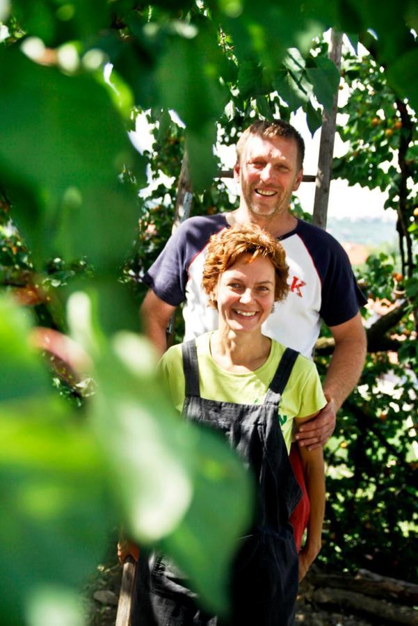 Farmstay Kmetija Stekar Койско Екстер'єр фото