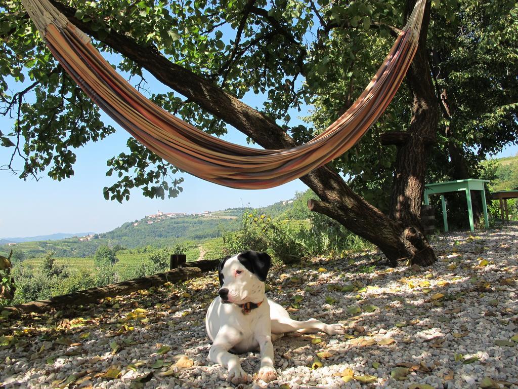 Farmstay Kmetija Stekar Койско Екстер'єр фото