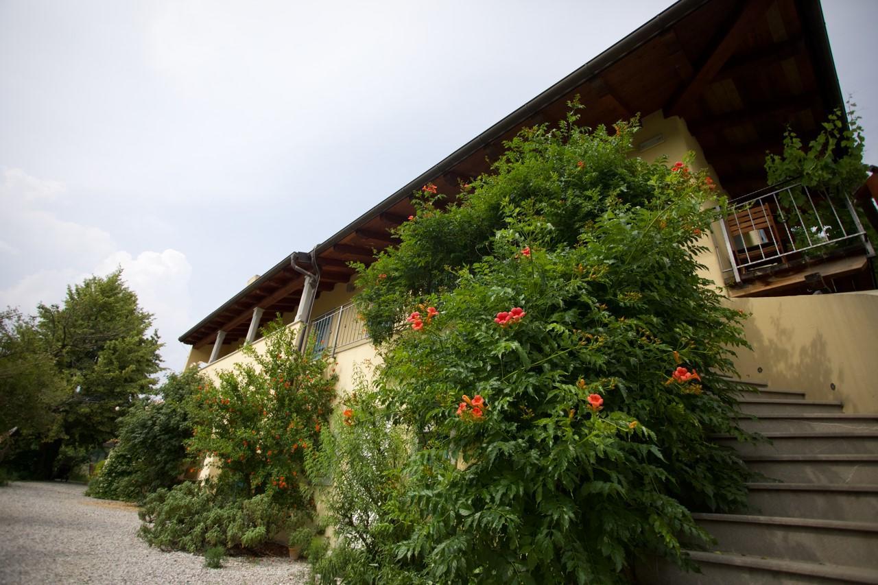 Farmstay Kmetija Stekar Койско Екстер'єр фото