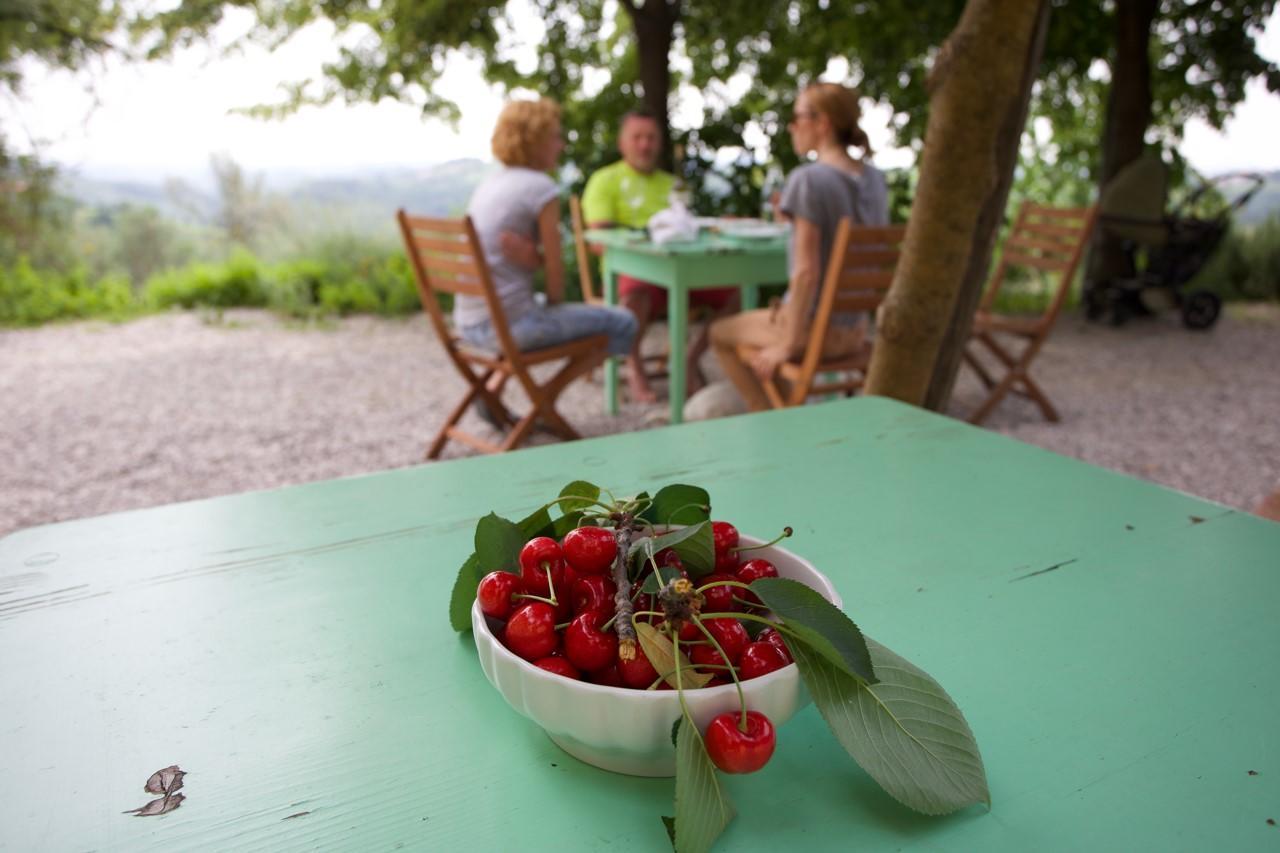 Farmstay Kmetija Stekar Койско Екстер'єр фото